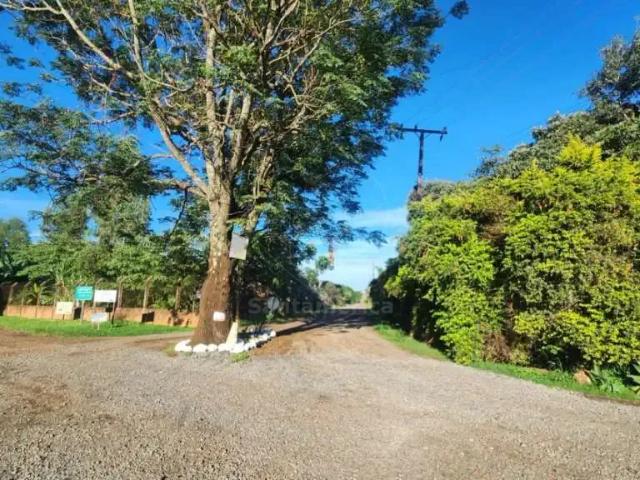 Sítio e chácara venda em Região Geográfica Imediata de Londrina, Londrina