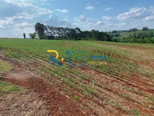 Sítio e chácara venda em Região Geográfica Imediata de Londrina, Londrina