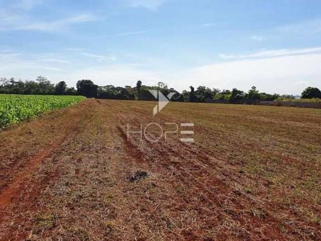 Sítio e chácara venda em Vivendas do Arvoredo, Londrina