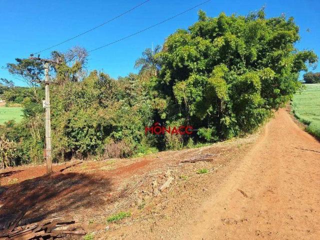 Sítio e chácara venda em Região Geográfica Imediata de Londrina, Londrina