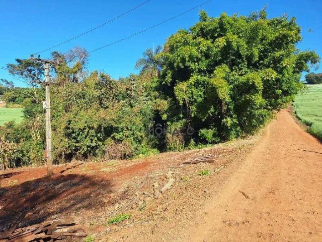 Sítio e chácara venda em Região Geográfica Imediata de Londrina, Londrina