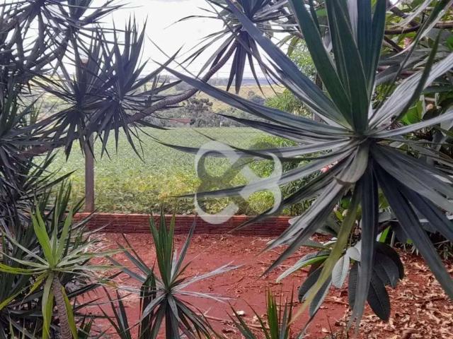 Sítio e chácara venda em Região Geográfica Imediata de Londrina, Londrina