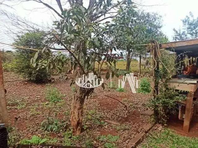 Sítio e chácara venda em Quilometro Nove, Londrina