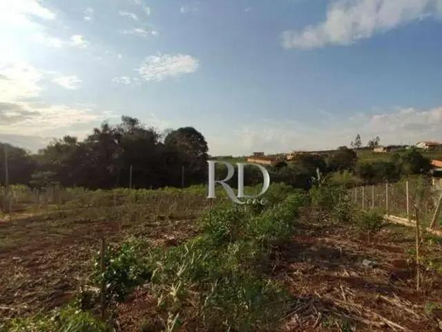 Sítio e chácara venda em Região Geográfica Imediata de Londrina, Londrina