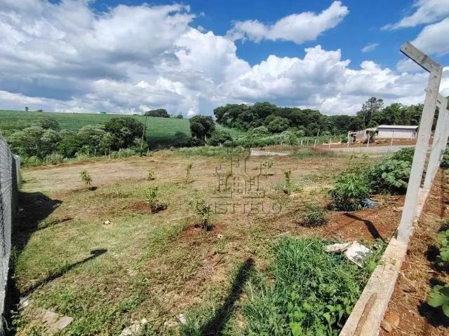 Sítio e chácara venda em Região Geográfica Imediata de Londrina, Londrina