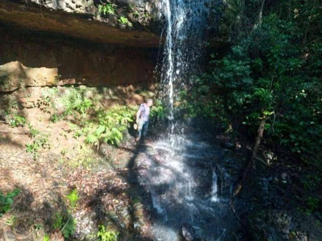 Sítio e chácara venda em Guaravera, Londrina