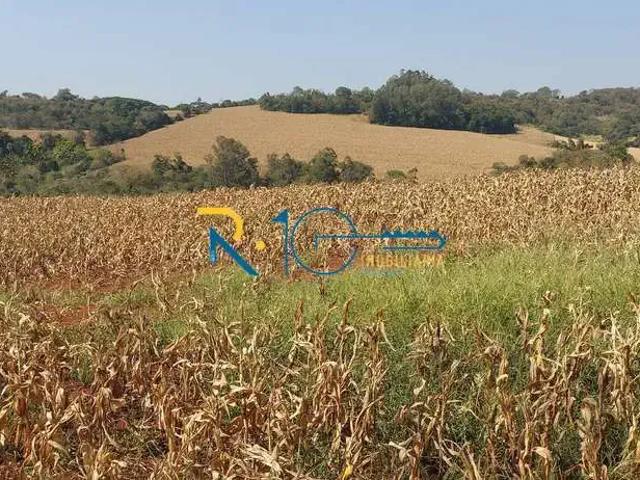Sítio e chácara venda em Guaravera, Londrina