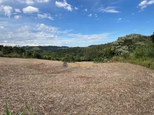 Sítio e chácara venda em Região Geográfica Imediata de Londrina, Londrina