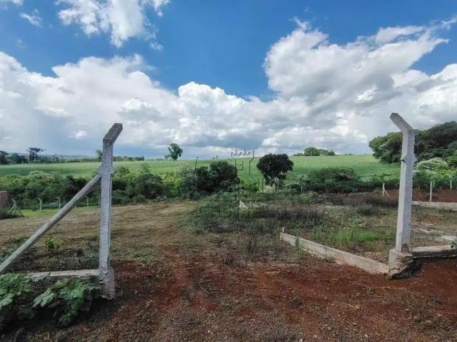Sítio e chácara venda em Região Geográfica Imediata de Londrina, Londrina