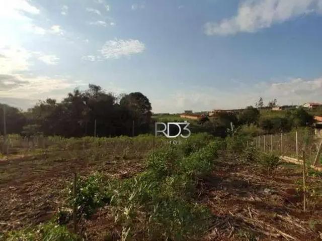 Sítio e chácara venda em Região Geográfica Imediata de Londrina, Londrina