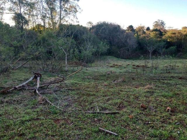 Sítio e chácara venda em Região Geográfica Imediata de Londrina, Londrina