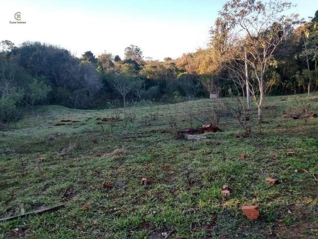 Sítio e chácara venda em Região Geográfica Imediata de Londrina, Londrina
