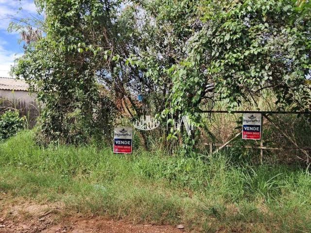 Sítio e chácara venda em Região Geográfica Imediata de Londrina, Londrina
