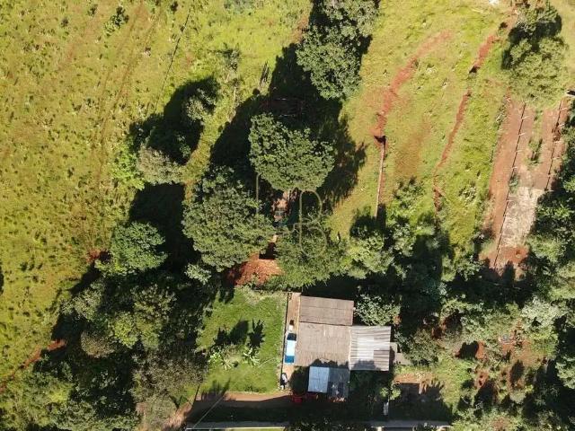 Sítio e chácara venda em Região Geográfica Imediata de Londrina, Londrina