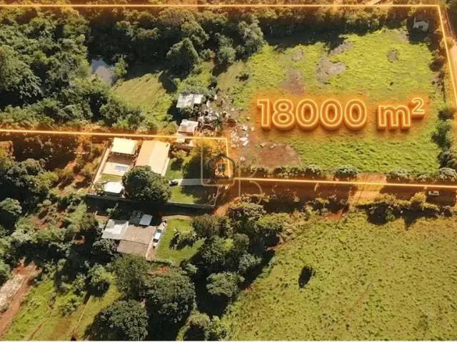 Sítio e chácara venda em Região Geográfica Imediata de Londrina, Londrina