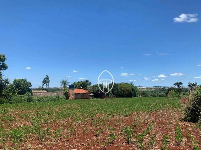 Sítio e chácara venda em Região Geográfica Imediata de Londrina, Londrina