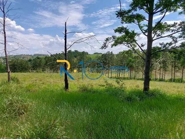 Sítio e chácara venda em Região Geográfica Imediata de Londrina, Londrina