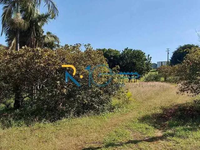 Sítio e chácara venda em Região Geográfica Imediata de Londrina, Londrina