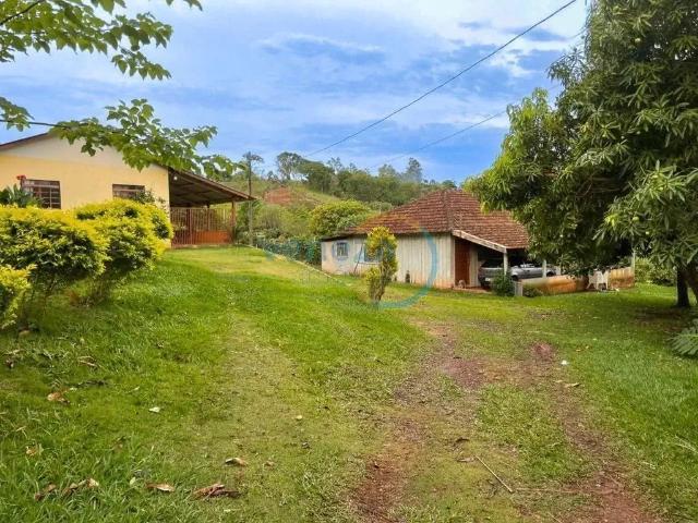 Sítio e chácara venda em Irerê, Londrina