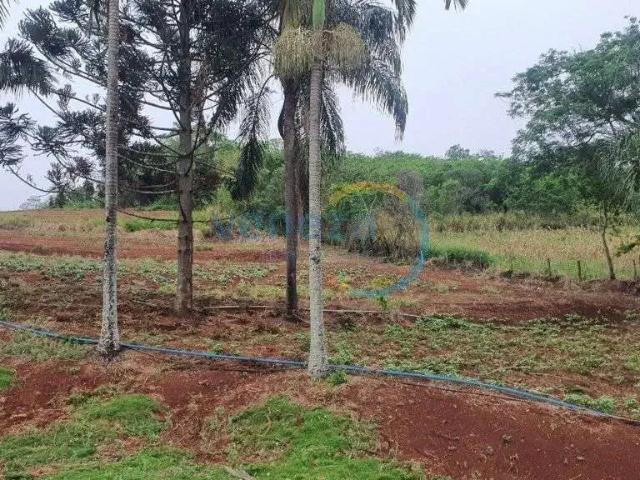 Sítio e chácara venda em Taquaruna, Londrina