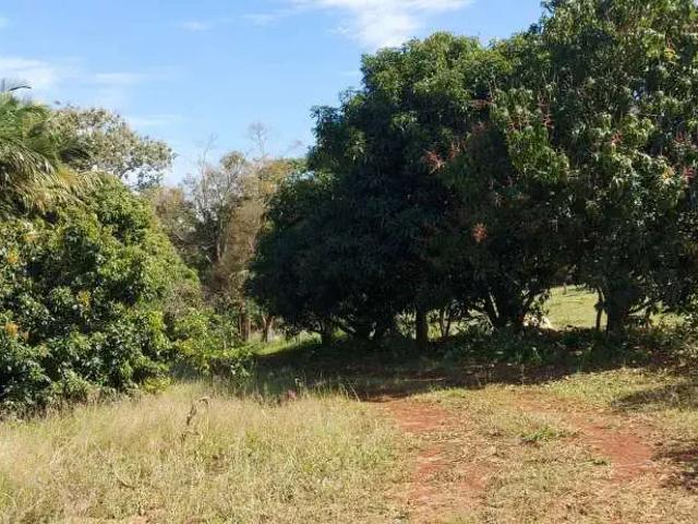 Sítio e chácara venda em Região Geográfica Imediata de Londrina, Londrina