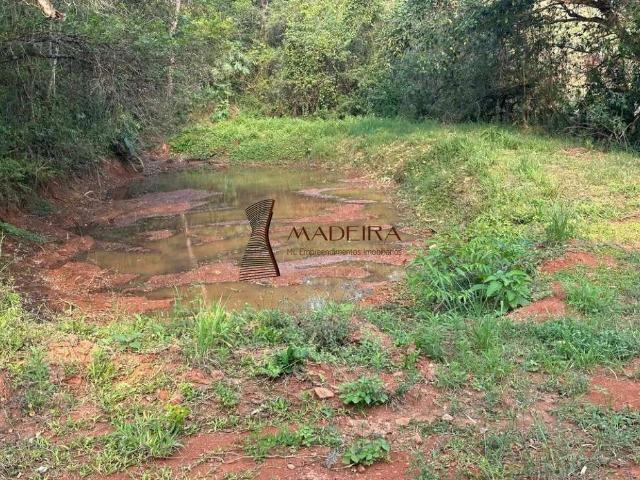 Sitio venda em Londrina, Centro Histórico