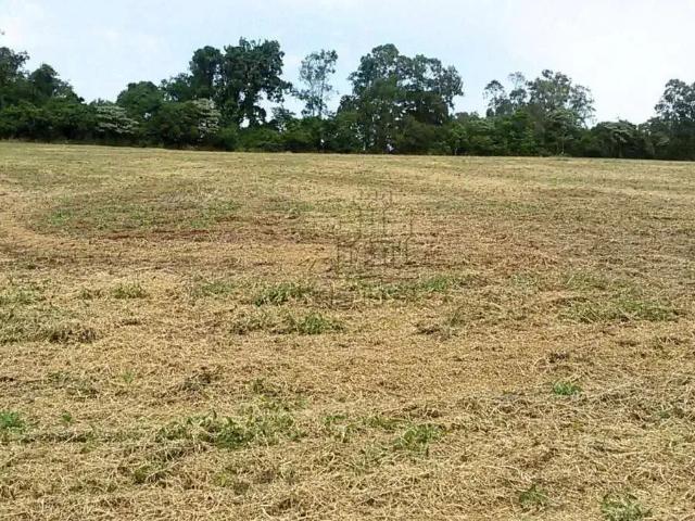 Sítio e chácara venda em Região Geográfica Imediata de Londrina, Londrina