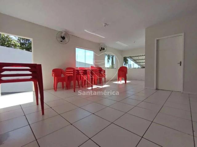 Sítio e chácara venda em Coliseu, Londrina