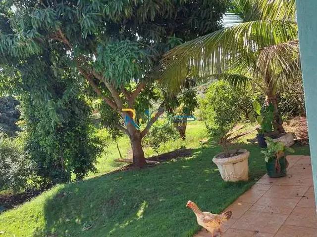 Sítio e chácara venda em Região Geográfica Imediata de Londrina, Londrina
