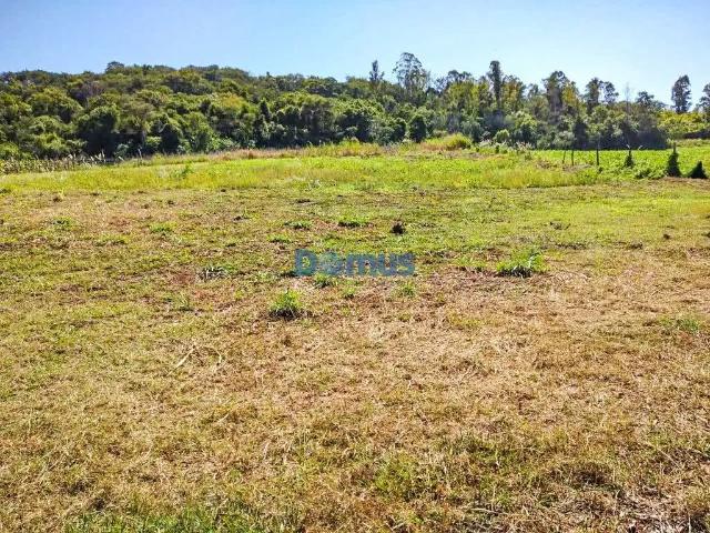 Sítio e chácara venda em Região Geográfica Imediata de Londrina, Londrina