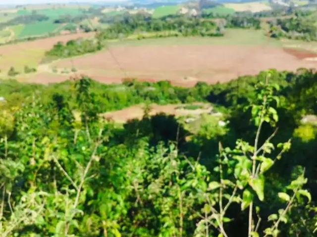 Sítio e chácara venda em Região Geográfica Imediata de Londrina, Londrina