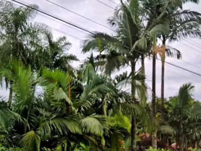 Sítio e chácara venda em Região Geográfica Imediata de Londrina, Londrina