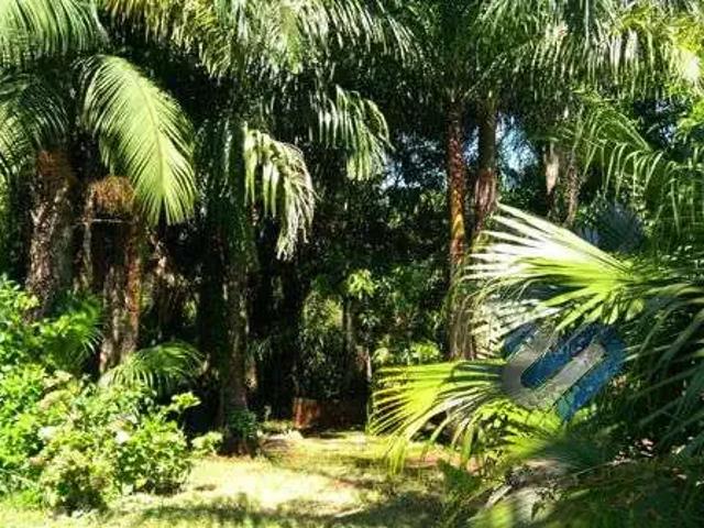 Sítio e chácara venda em Região Geográfica Imediata de Londrina, Londrina