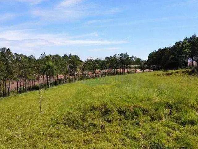 Sítio e chácara venda em Quilometro Nove, Londrina