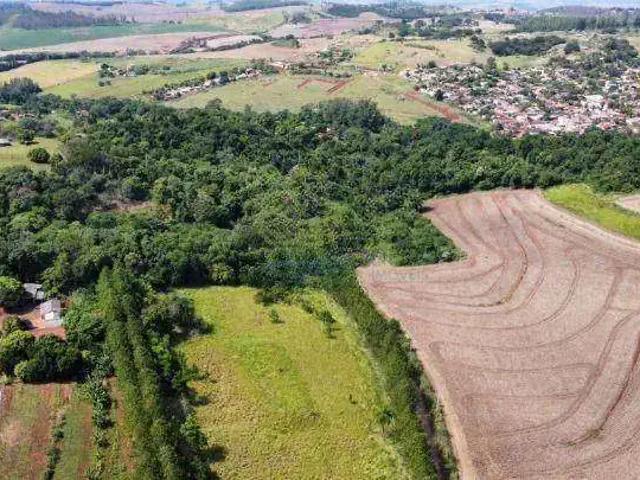 Sítio e chácara venda em Região Geográfica Imediata de Londrina, Londrina