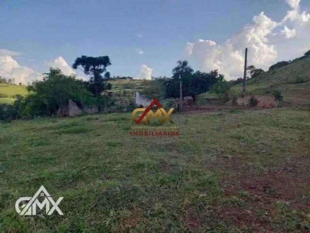 Sítio e chácara venda em Região Geográfica Imediata de Londrina, Londrina