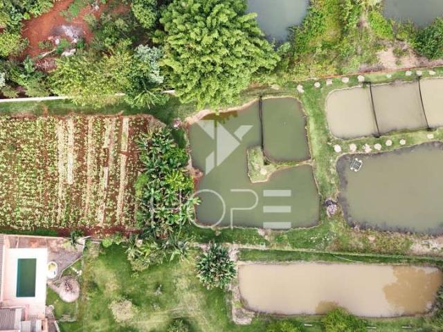Sitio venda em Londrina, Jardim Agari