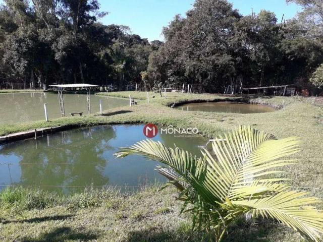 Sítio e chácara venda em Região Geográfica Imediata de Londrina, Londrina