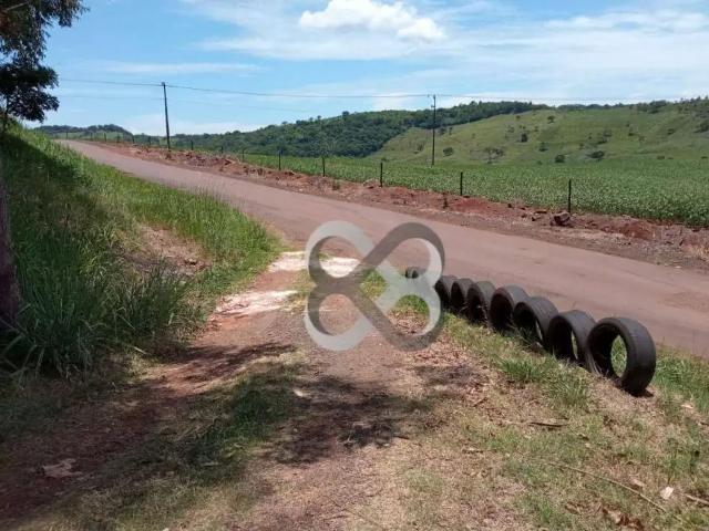 Sítio e chácara venda em Região Geográfica Imediata de Londrina, Londrina