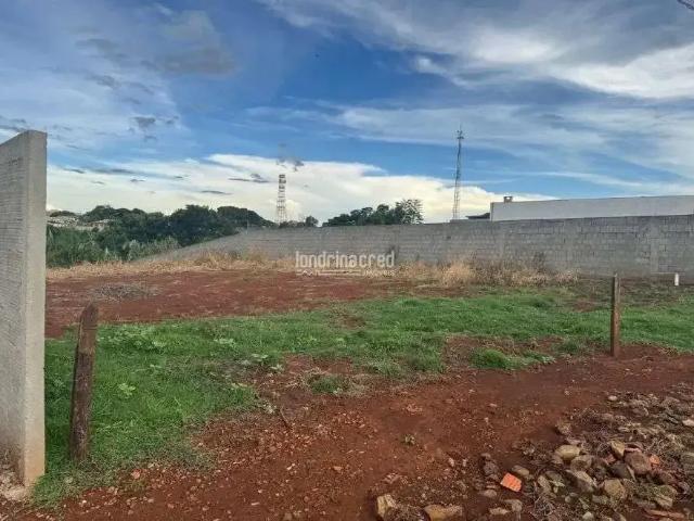 Sítio e chácara venda em Região Geográfica Imediata de Londrina, Londrina