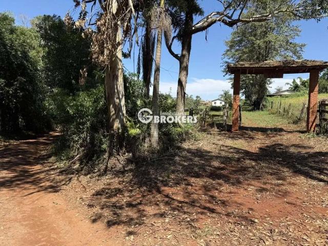 Sítio e chácara venda em Vila Rural de Lerroville, Londrina