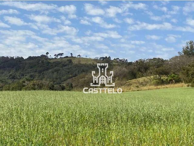 Sítio e chácara venda em Região Geográfica Imediata de Londrina, Londrina