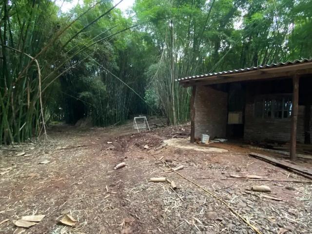 Sítio e chácara venda em Região Geográfica Imediata de Londrina, Londrina