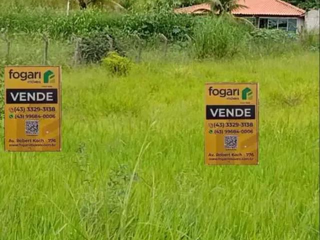 Sítio e chácara venda em Região Geográfica Imediata de Londrina, Londrina