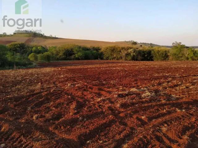 Sítio e chácara venda em Região Geográfica Imediata de Londrina, Londrina