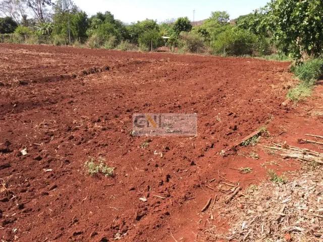 Sítio e chácara venda em Região Geográfica Imediata de Londrina, Londrina