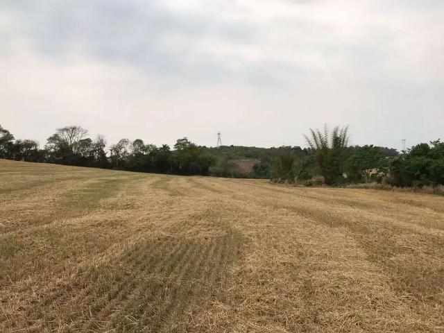 Sítio e chácara venda em Região Geográfica Imediata de Londrina, Londrina