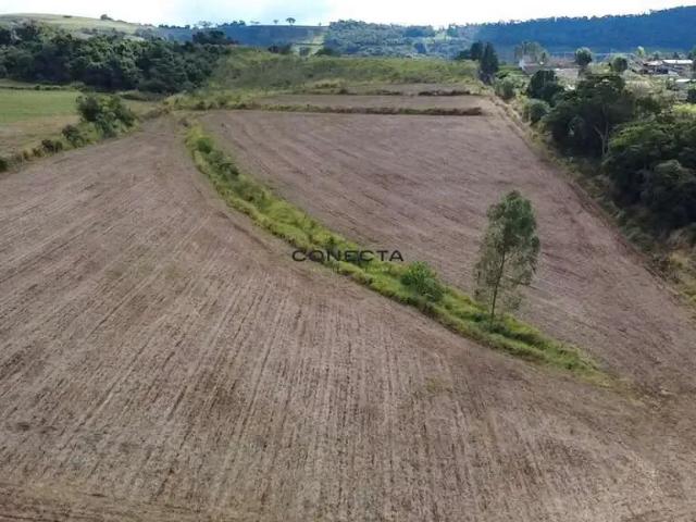 Sítio e chácara venda em Região Geográfica Imediata de Londrina, Londrina
