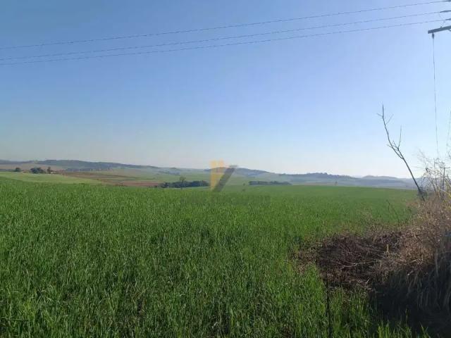 Sítio e chácara venda em Região Geográfica Imediata de Londrina, Londrina
