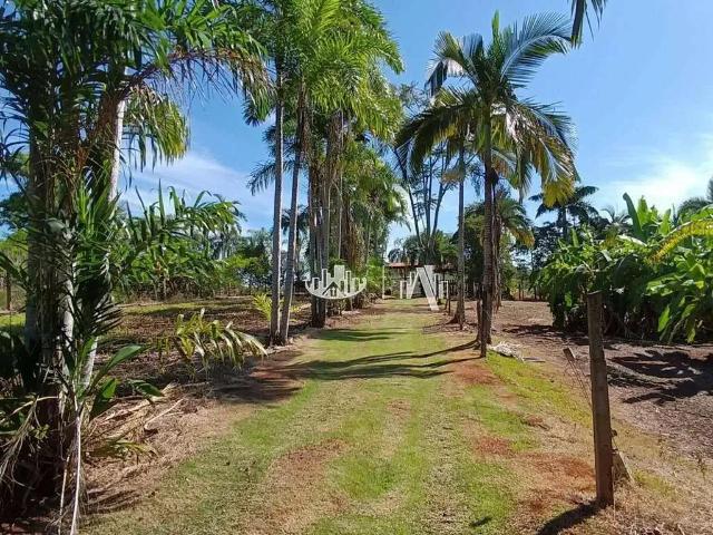 Sítio e chácara venda em Região Geográfica Imediata de Londrina, Londrina